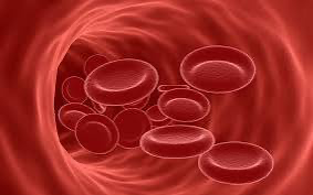 Chelated Iron with Vitamin C, B12 & Folic Acid: Your Complete Iron Support for Energy, Immunity & Women's Wellness